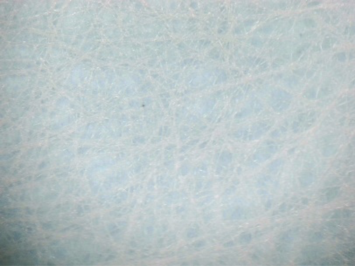 Woven Fabric
