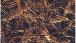 Polyimide
