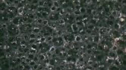 Polyurethane (PU)