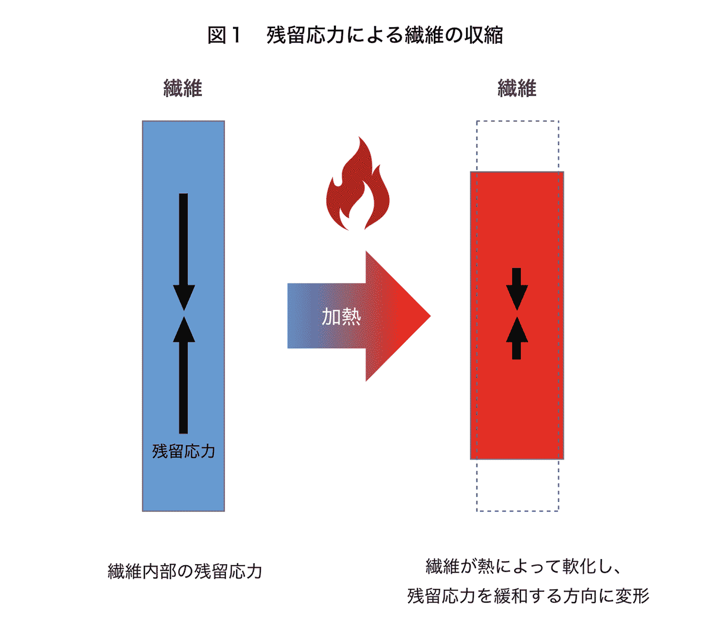 図１　残留応力による繊維の収縮