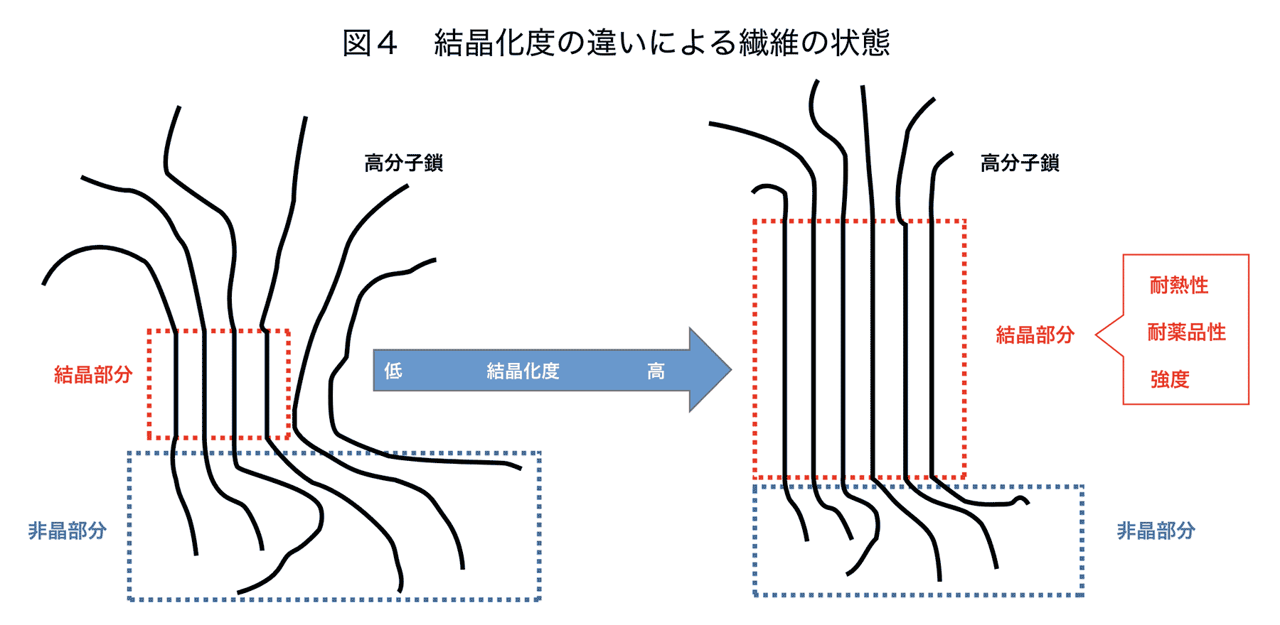 図４　結晶化度の違いによる繊維の状態