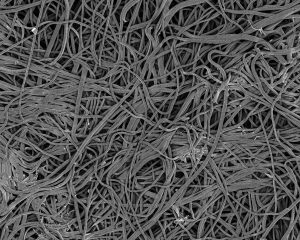 ナノフロント🄬を混抄した紙の表面の電子顕微鏡写真