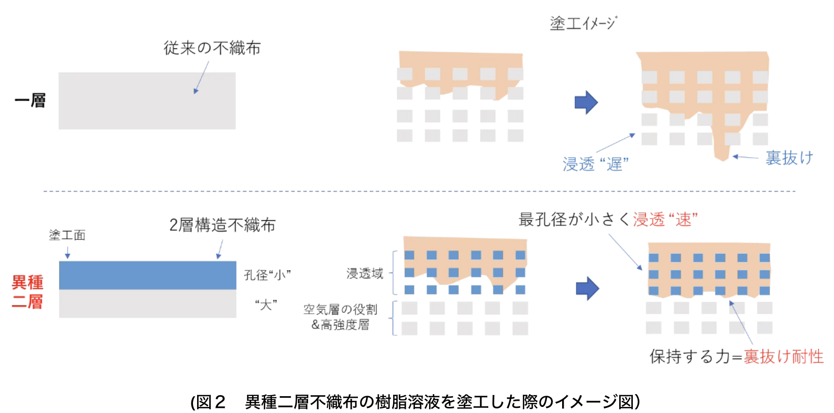 (図２　異種二層不織布の樹脂溶液を塗工した際のイメージ図）