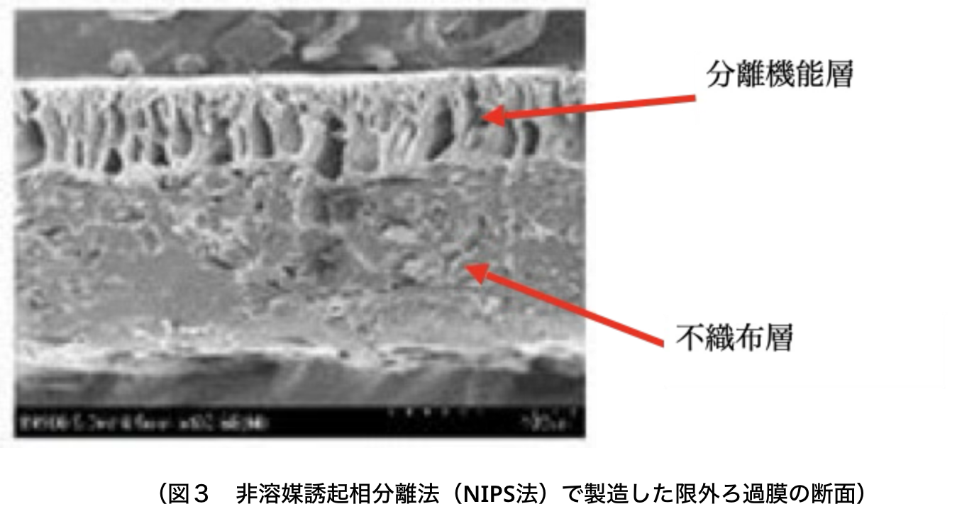 図３　非溶媒誘起相分離法（NIPS法）で製造した限外ろ過膜の断面