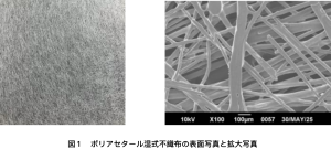 図１　ポリアセタール湿式不織布の表面写真と拡大写真