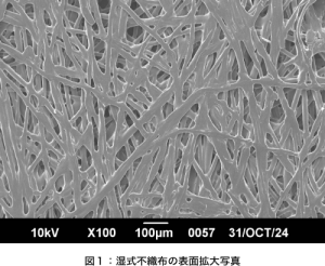 図１：湿式不織布の表面拡大写真