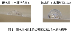 図１ 親水性・疎水性の表面における水滴の様子 