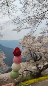 花より団子