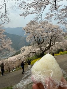 花よりおにぎり